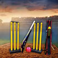 Heavy Duty Plastic Cricket Bat (850 Gm) with Stumps Complete Cricket Kit for Beginners Practice and Outdoor Play